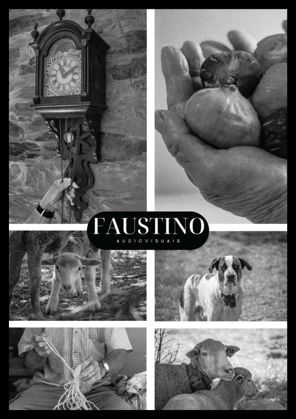 faustino4